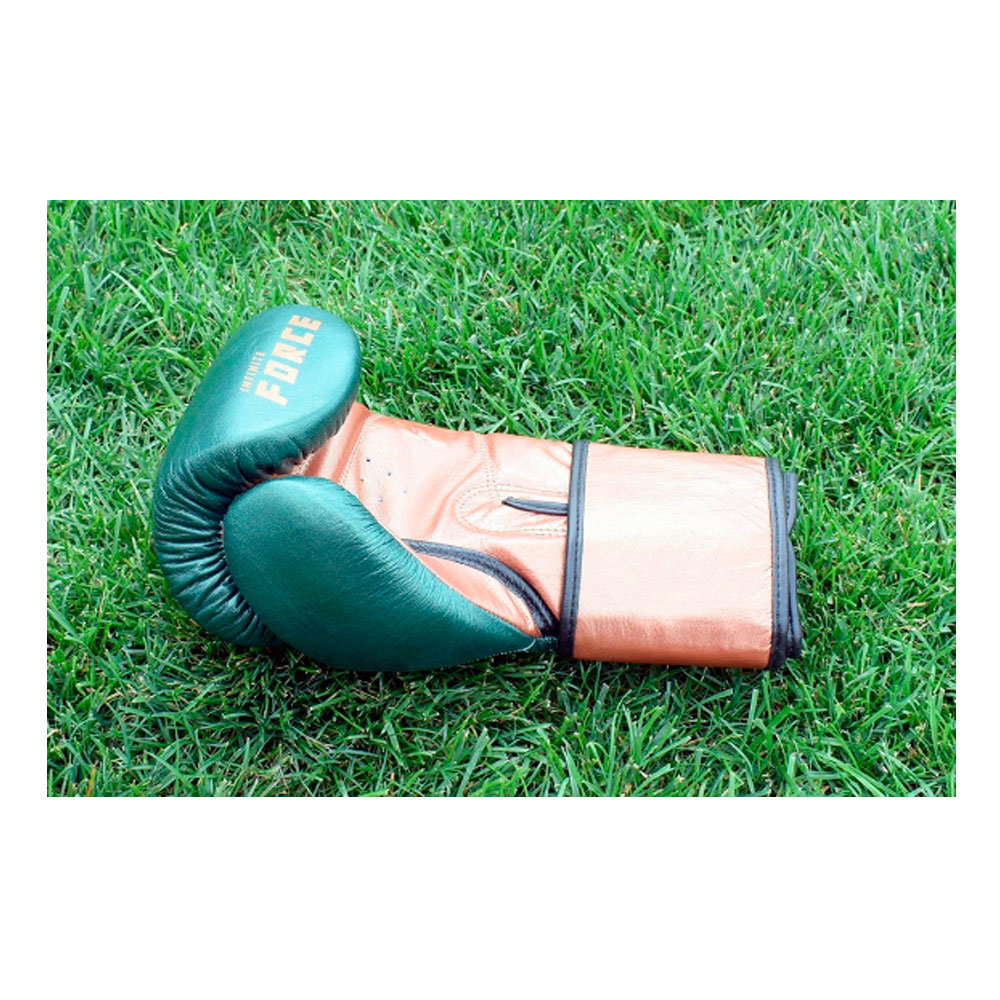 Перчатки боксерские Infinite Force 16 oz