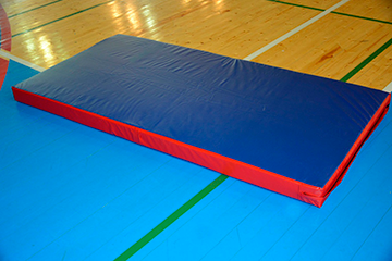 Мат гимнастический Спортком (100х50х10)